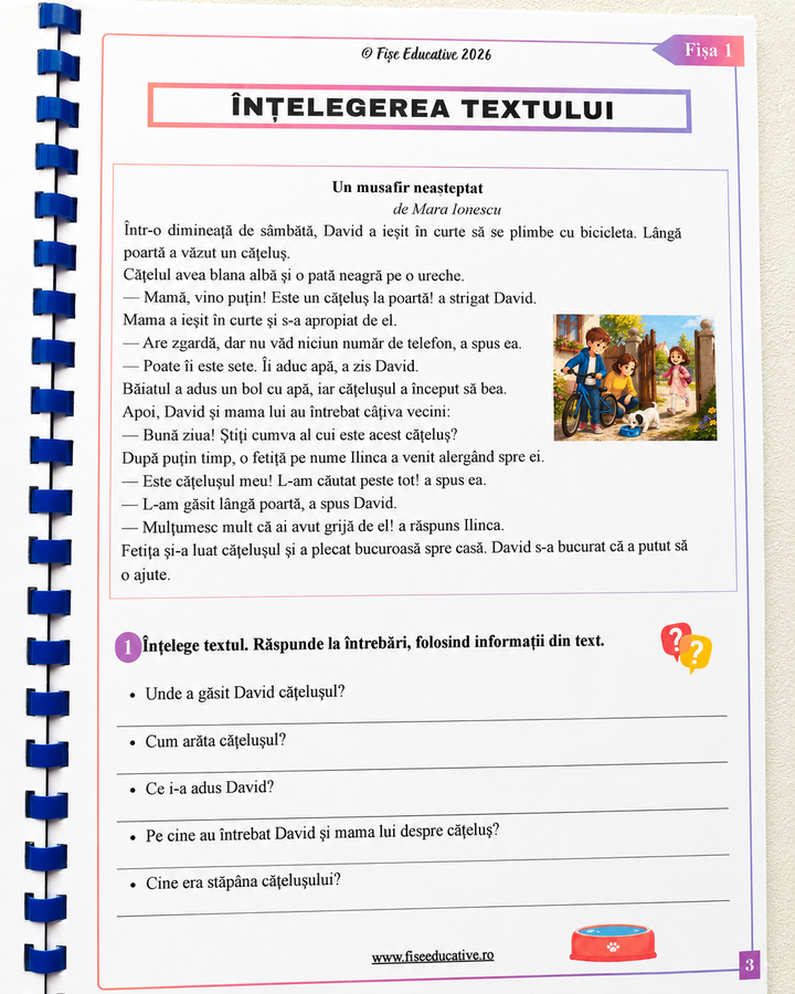 Pachet Comunicare Clasa a II-a – 3 caiete tipărite | 204 pagini