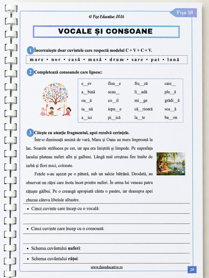 Pachet Comunicare Clasa a II-a – 3 caiete tipărite | 204 pagini