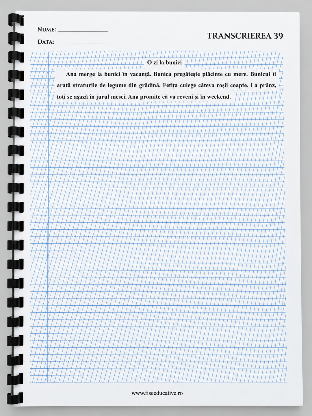 TRANSCRIERI CLASA I – 50 DE FIȘE TIPĂRITE A4 | 50 PAGINI
