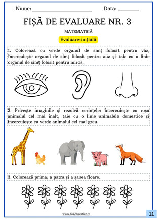 fisa evaluare copii clasa pregatitoare exercitii logica clasificare animale obiecte